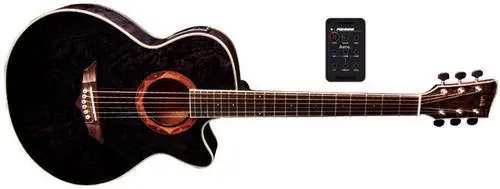 VGS V-2A CE/F Elektro Akustikgitarre TB Kostenloser Versand