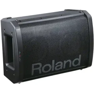 Roland BA-55 Stereo Batterie-P.A. mit Funkmikro Finale Aktion