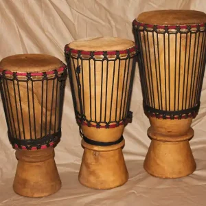 Thüne Percussion Einsteiger Djembe 40/21 Heißes Angebot
