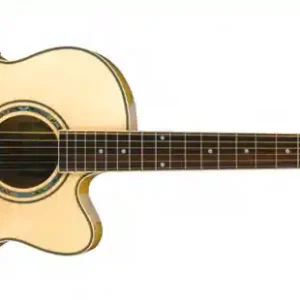 Ibanez AEL-20 E NT Westerngitarre Günstig