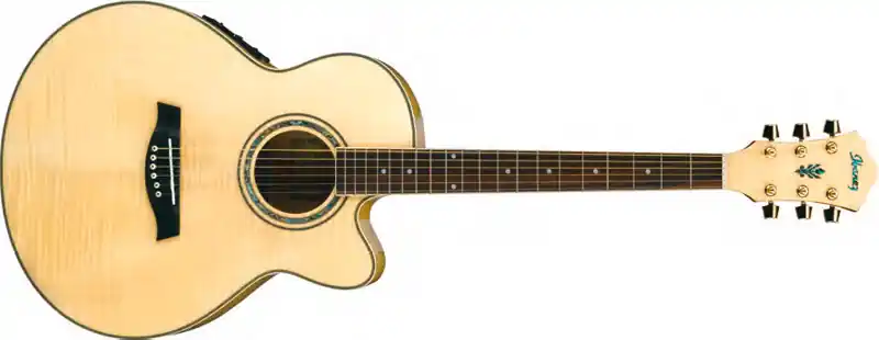 Ibanez AEL-20 E NT Westerngitarre Günstig