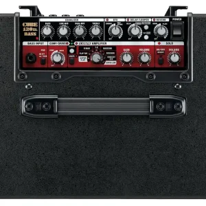 Heißes Angebot Roland CB-120XL Cube Bass