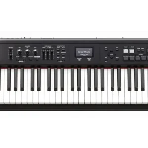 Roland RD-300 NX Stagepiano Expressversand