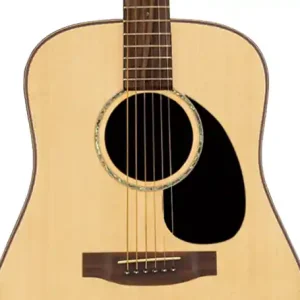 Top-Angebot Takamine G-340 S NS Westerngitarre