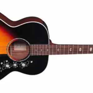 Top-Angebot Takamine EG-450 DLX TBS Westerngitarre