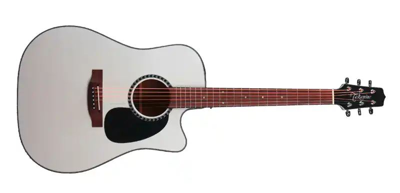 Jetzt Bestellen Takamine EF-300 SE BW Westerngitarre