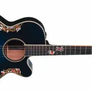 Takamine LTD 2011 iki Westerngitarre Kostenloser Rückversand