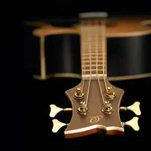 Ortega C2-4 Akustik Bass Neue Ware