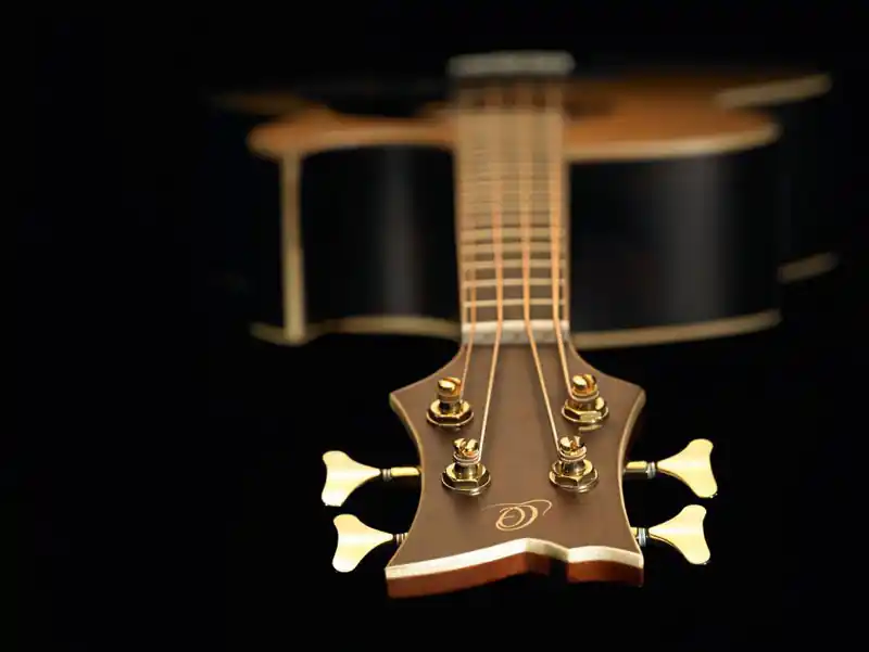 Ortega C2-4 Akustik Bass Neue Ware
