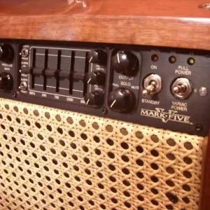 Versand Am Gleichen Tag Mesa Boogie Mark V Combo Custom