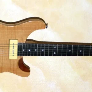 PRS SE Custom Semi Hollow Natural mit P90 Heißes Angebot