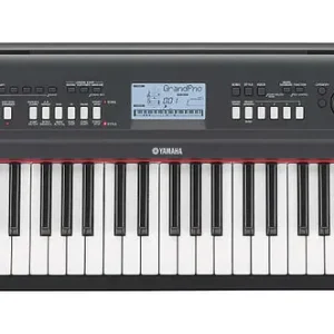 Meistverkauft Yamaha NP-V80 Piaggero
