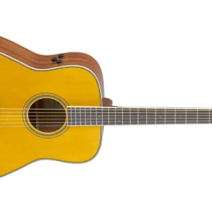Gratis Versand Yamaha FG-TA VT TransAcoustic