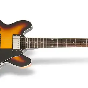 Epiphone Ultra-339 VS E-Gitarre Neu