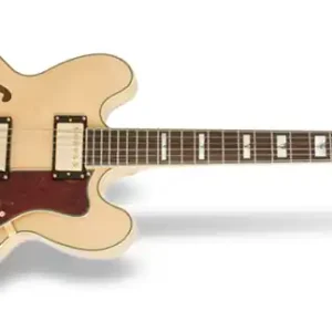Epiphone Sheraton II NA E-Gitarre Echt