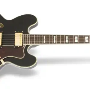 Bestseller Epiphone Sheraton II EB E-Gitarre