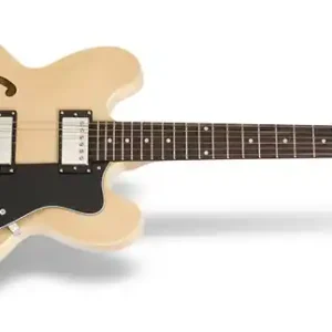 Epiphone DOT NA E-Gitarre Begrenztes Angebot