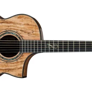 Ibanez EW-50 SME NT Westerngitarre Echt
