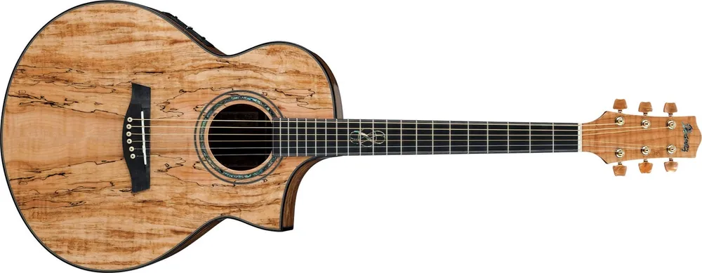 Ibanez EW-50 SME NT Westerngitarre Echt
