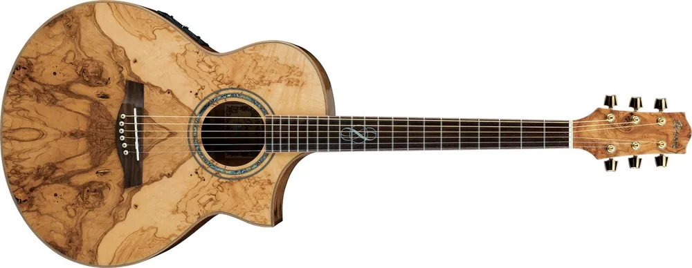 Ibanez EW-35 ABE NT Westerngitarre Heißes Angebot