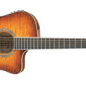 Ibanez A300 E VV Westerngitarre Letzte Chance