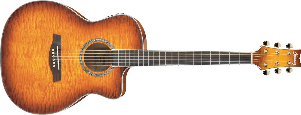 Ibanez A300 E VV Westerngitarre Letzte Chance