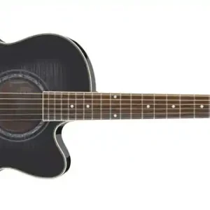 Ibanez AEL-20 E TKS Westerngitarre Neu Im Sortiment