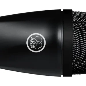 Sofort Bestellen AKG P2