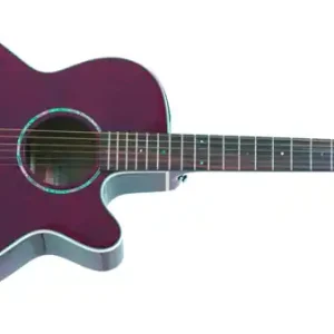 Geprüft Takamine EG-440 C STCY Westerngitarre