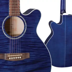Preisreduziert Takamine EG-440 C STBY Westerngitarre