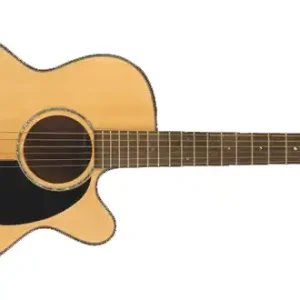 Schneller Versand Takamine EG-440 C Westerngitarre