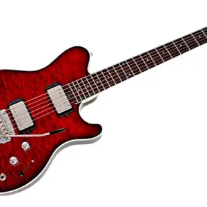 Music Man 25th Anniversary E-Gitarre Top-Angebot