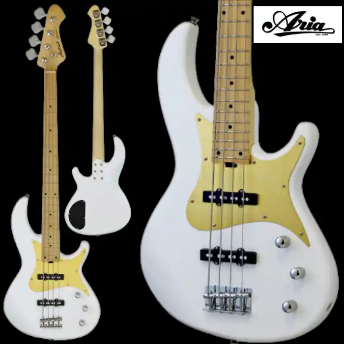 ARIA E-BASS RSB618/4 Expressversand