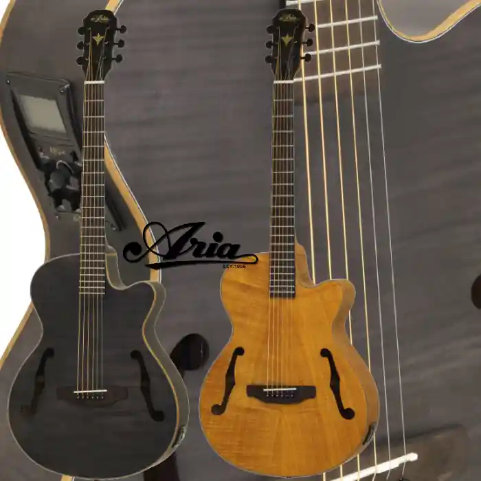 Neue Ware Aria Jazz Gitarre FET F2