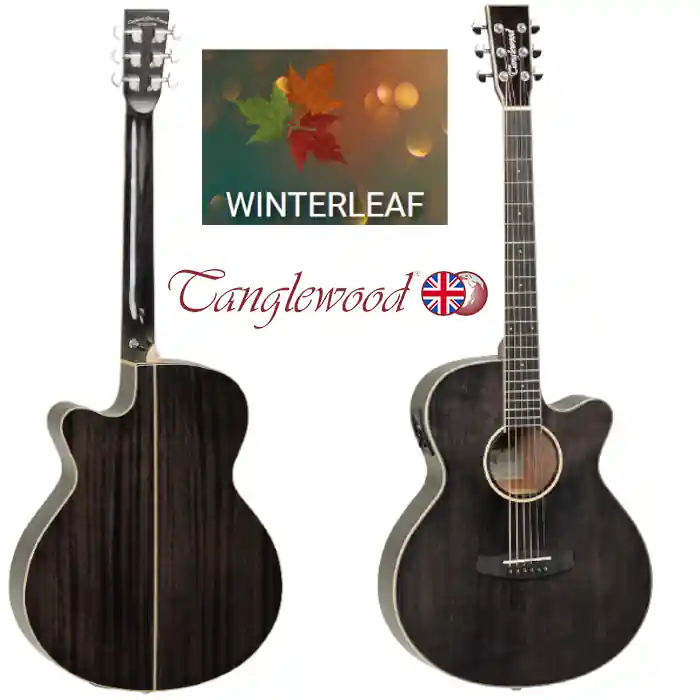 Tanglewood TW4EBS Winterleaf Blk Shadow Top-Angebot