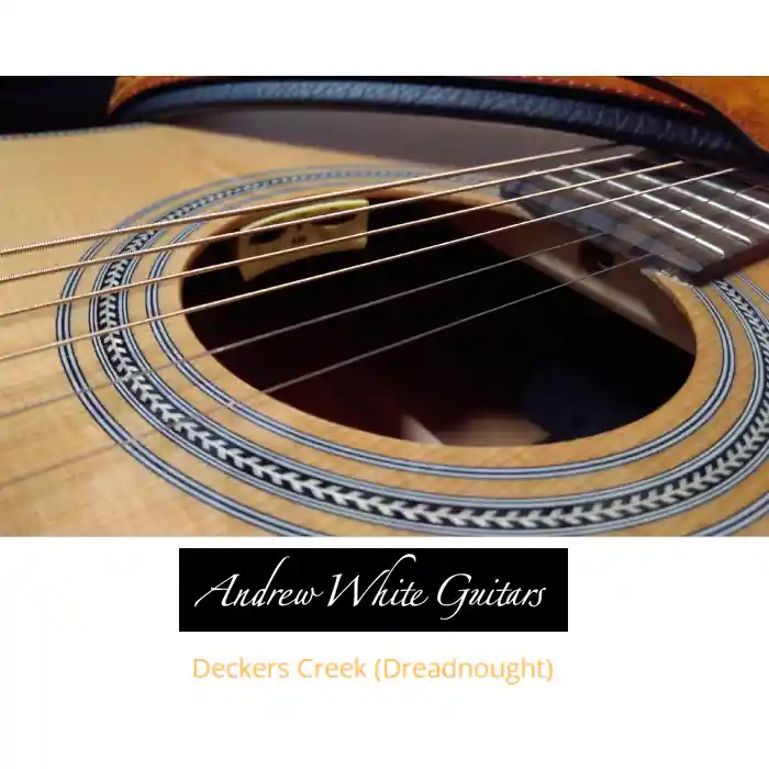 Andrew White| Decker’s Creek Dreadnought 101 WNAT|TA+Mik. Billig