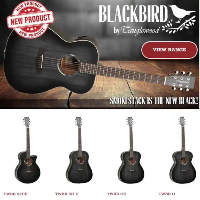 Tanglewood Blackbird Akustikgitarre Expressversand