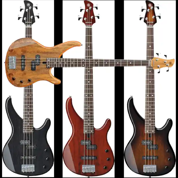 Neuheit Yamaha TRBX174 EW Mango E-Bass