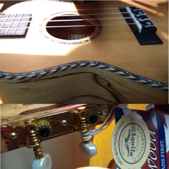 Expressversand Tanglewood Concert-Ukulele TWT 11 | Massive Decke