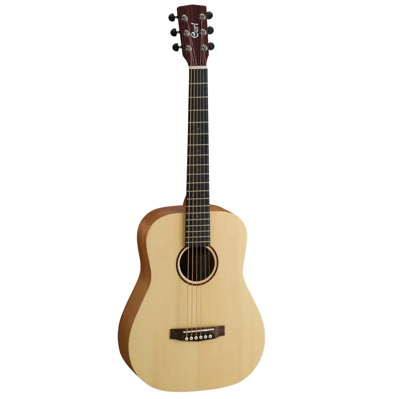 Aktuell CORT Earth Mini Dreadnought 3/4 Gr.