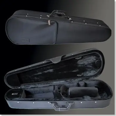 Franz Sandner Violinenetui Knallerangebot