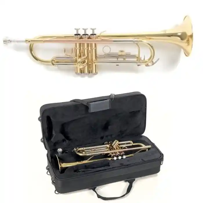 Echt GEWA ROY BENSON Bb-Trompete TR-202 | Student Pro