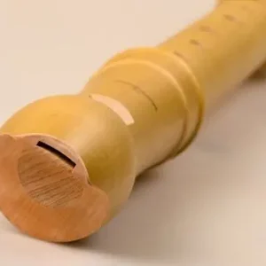 Direkt Vom Hersteller Mollenhauer Canta Alt-Flöte 2206