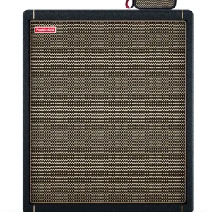 Nur Heute Positive Grid Spark Go BK CAB Bundle