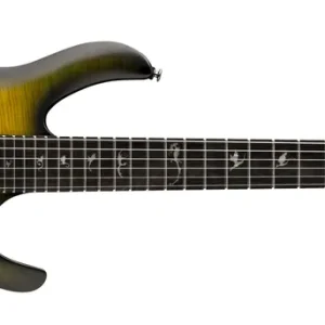 Zertifiziert PRS SE Chleo Herman Li Signature Mantis Burst