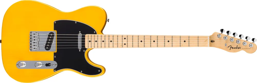 Echt Fender Standard Telecaster Butterscotch Blonde