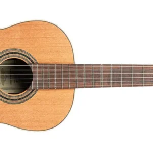 Ortega R20GSNWN Traditional Series 4/4 Super-Preis