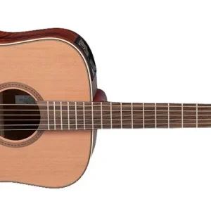 Sale Takamine FN15AR