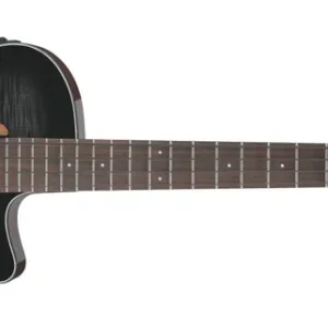 Ibanez AEGB25E-TKH Ausverkauf