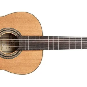 Knallerangebot Ortega R20GSNRG Traditional Series 4/4